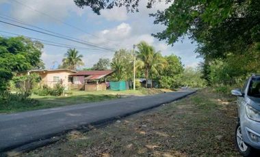 VENTA DE TERENO EN TINAJAS CHIRIQUI 12 HECTAREAS