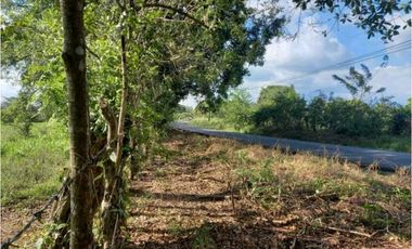 VENTA DE TERENO EN TINAJAS CHIRIQUI 12 HECTAREAS