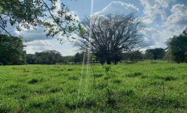 VENTA DE TERENO EN TINAJAS CHIRIQUI 12 HECTAREAS