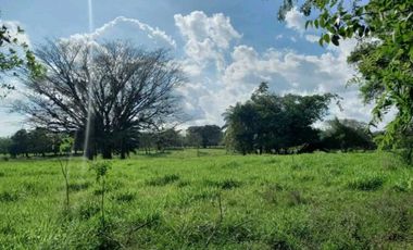 VENTA DE TERENO EN TINAJAS CHIRIQUI 12 HECTAREAS