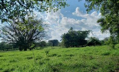 VENTA DE TERENO EN TINAJAS CHIRIQUI 12 HECTAREAS