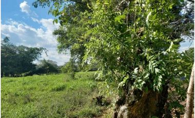 VENTA DE TERENO EN TINAJAS CHIRIQUI 12 HECTAREAS
