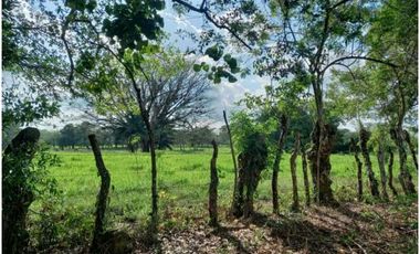 VENTA DE TERENO EN TINAJAS CHIRIQUI 12 HECTAREAS