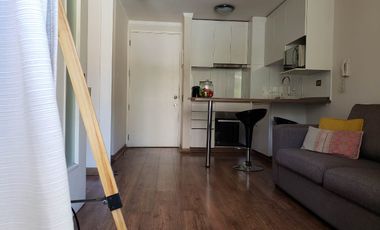 Cómodo Departamento en Viña del Mar