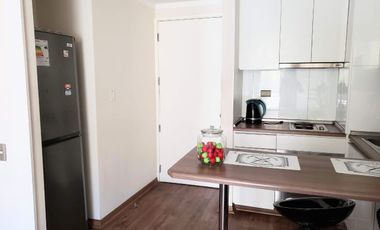 Cómodo Departamento en Viña del Mar