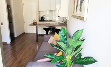 Cómodo Departamento en Viña del Mar