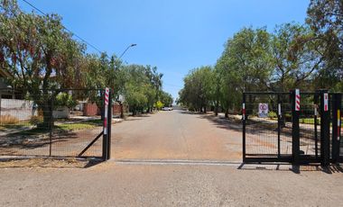 CASAS NUEVA EN ARRIENDO - PADRE HURTADO