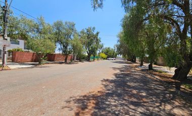 CASAS NUEVA EN ARRIENDO - PADRE HURTADO