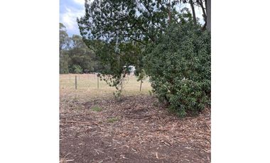 terreno sobre 181 y 62