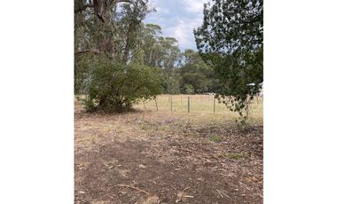 terreno sobre 181 y 62