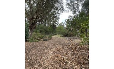 terreno sobre 181 y 62