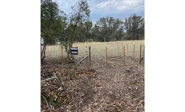 terreno sobre 181 y 62