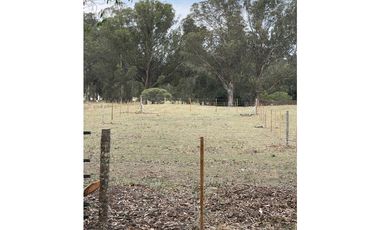 terreno sobre 181 y 62