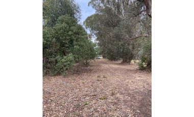 terreno sobre 181 y 62