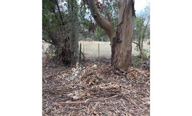 terreno sobre 181 y 62