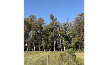 Lote de 3600 m2 en Chacras de San Andres