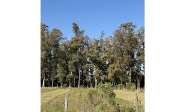 Lote de 3600 m2 en Chacras de San Andres