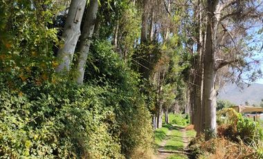 CAMINO LA RED