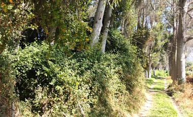 CAMINO LA RED