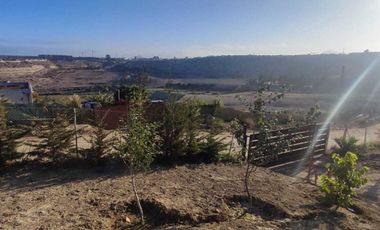 Parcela en venta  en COQUIMBO