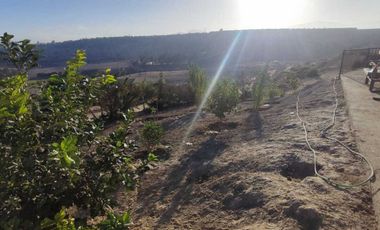 Parcela en venta  en COQUIMBO