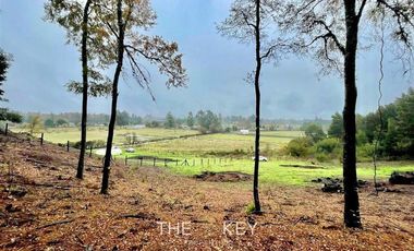 Parcela en Venta en Botrolhue - Luis Durand.