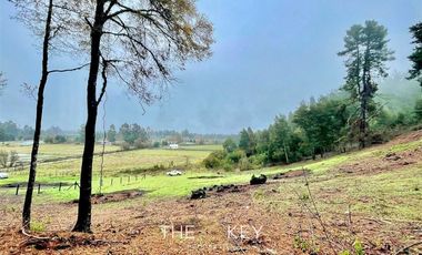 Parcela en Venta en Botrolhue - Luis Durand.