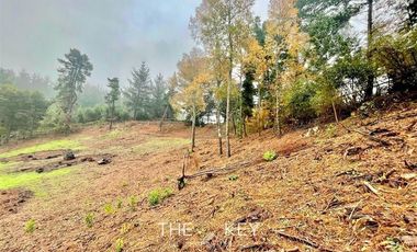 Parcela en Venta en Botrolhue - Luis Durand.