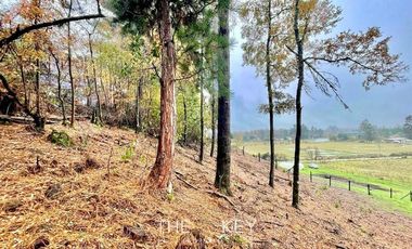 Parcela en Venta en Botrolhue - Luis Durand.