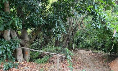 Sitio en Venta en COD37151 Calle Lago Villarrica, Collao, Concepcion.