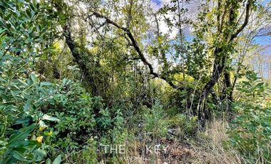 Parcela en Venta en Country Villarrica II