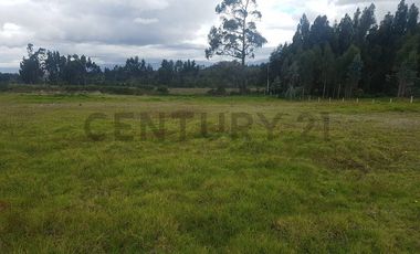 Venta de  lotes ubicados a  15kms de Latacunga en Lasso