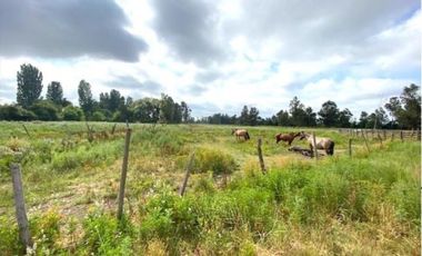 Parcela en Venta en Avenida Francisco Antonio Encina