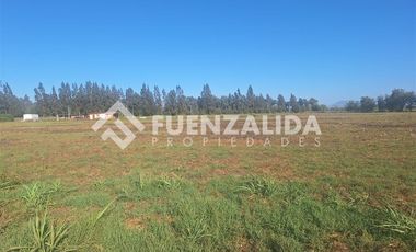 Parcela en Venta en Carampangue Colegio Trebulco