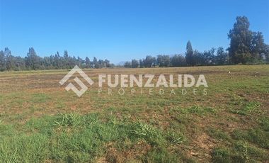 Parcela en Venta en Carampangue Colegio Trebulco