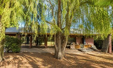 Sitio en Venta en Camino la Viña / San Damian