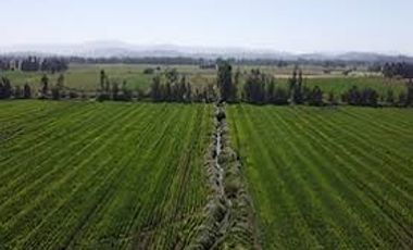 Parcela en Venta en L-16