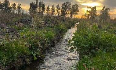 Parcela en Venta en L-16