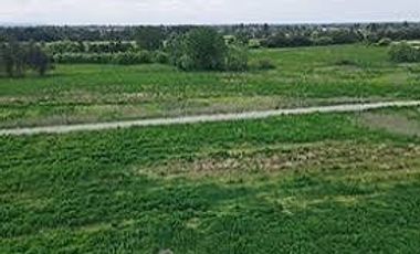 Parcela en Venta en L-16