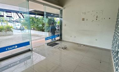 Local en RENTA en Garcia Lavín, Mérida Yucatán