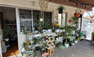 Casa con local comercial, buena ubicación en el Centro de Oaxaca