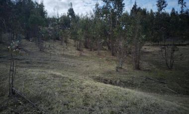 VENTA TERRENO - SITIO 50000MTS LITUECHE
