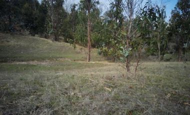 VENTA TERRENO - SITIO 50000MTS LITUECHE