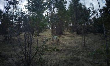 VENTA TERRENO - SITIO 50000MTS LITUECHE