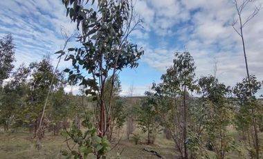 VENTA TERRENO - SITIO 50000MTS LITUECHE