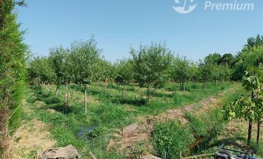 Casa en Venta en Colin