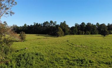 Parcela en Venta en T-835