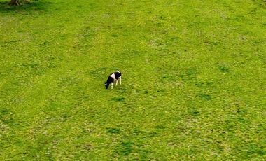 Parcela en Venta en T-835