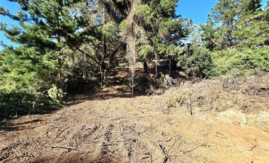 Parcela en Venta en Coliumo, Los Morros, Punta Talca