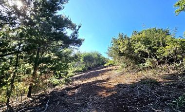 Parcela en Venta en Coliumo, Los Morros, Punta Talca